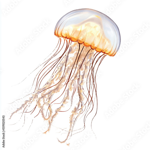 a jellyfish with flowing tentacle