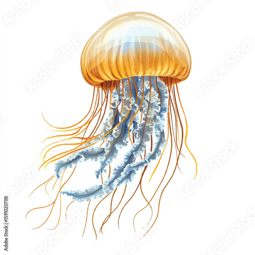a jellyfish with flowing tentacle