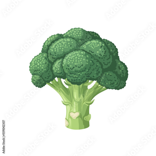 Vibrant illustration of a head of broccoli, showcasing its detailed florets and stem.