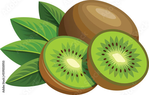 Cartoon Kiwi Fruit Illustration with Slices and Leaves on White Background