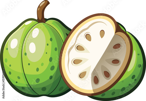 Cartoon illustration of Matum fruit with a slice showing seeds inside