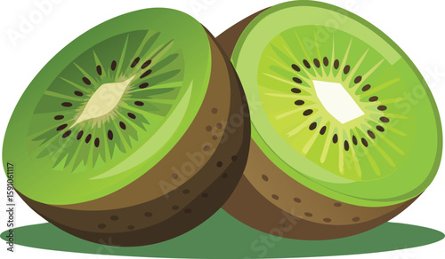 Two halves of a fresh green kiwi fruit illustrated in vector format
