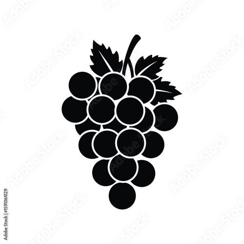 A bunch of grapes is isolated on white background, representing the sweetness and health benefits of fresh fruit