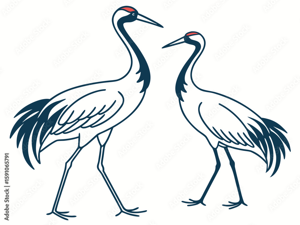 Fototapeta premium Crane bird couple in fluid ink-line style, representing elegance, grace, and balance in nature, modern flat illustration style.