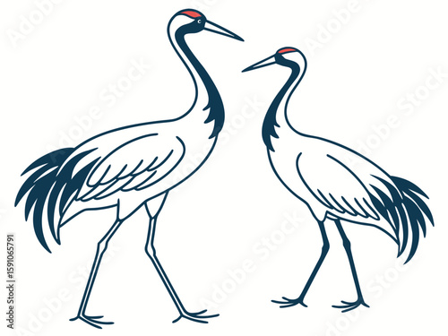 Crane bird couple in fluid ink-line style, representing elegance, grace, and balance in nature, modern flat illustration style.