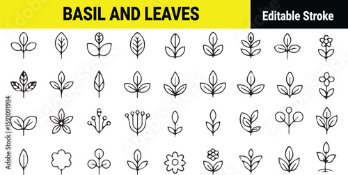 Black and white basil leaf and flower line art icons on white background