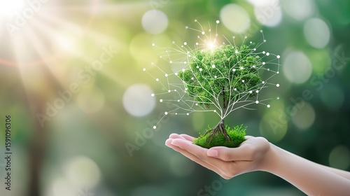 Business Tackling Carbon Footprint: Innovations for a Greener Future