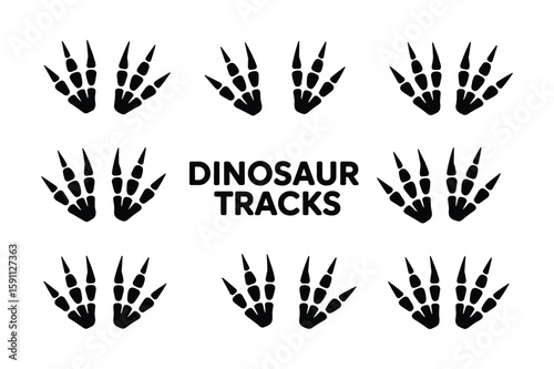 Dinosaur Footprint Vector Set Labeled Dinosaur Tracks in Black Silhouette Vector Illustration