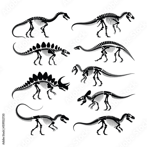 Dinosaur Skeleton Vector Illustration Pack Vector Illustration