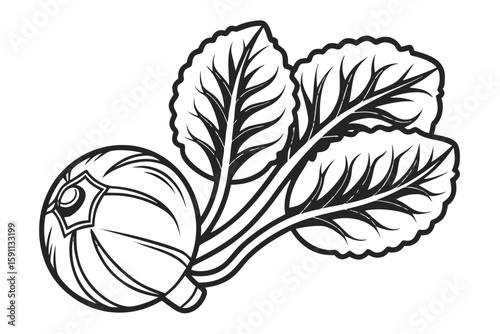 A single radish with green leaves isolated on white background