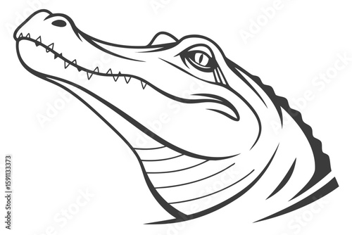 Alligator head profile illustration, isolated on white background
