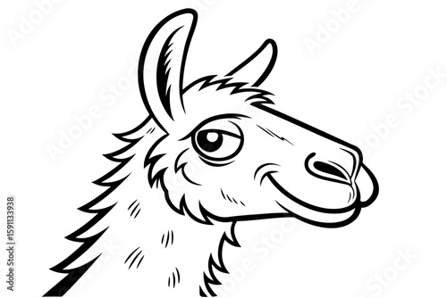A closeup illustration of a llamas head