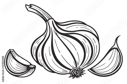 A black and white illustration of a garlic bulb with cloves