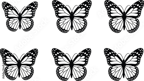 Realistic Butterfly Vector Design in Black and White Vector Illustration