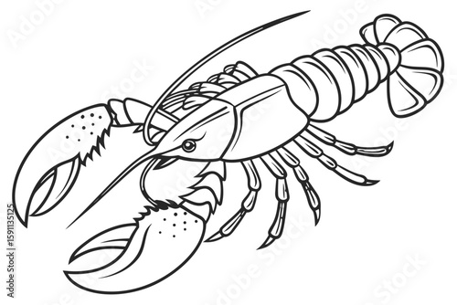 A detailed illustration of a lobster with large claws