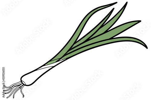Single leek vegetable with green leaves isolated on white background