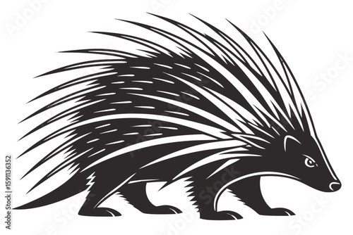 A side profile of a porcupine, isolated on white background