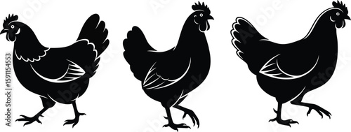 Silhouette Trio Roaming Hen Graphics for Poultry Farming and Farm Fresh Concepts