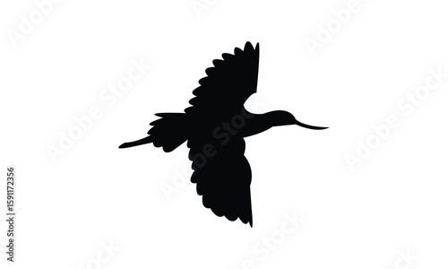 Flying American avocet bird Silhouette Design  And Vector Illustration. 