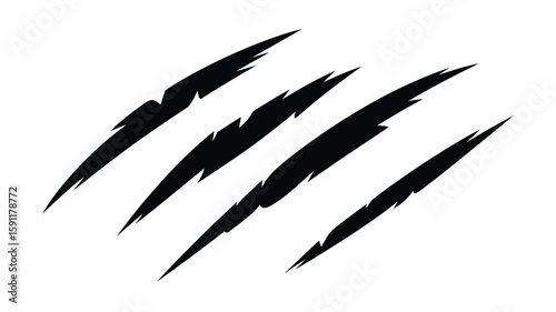 Animal Claw Marks on White Background