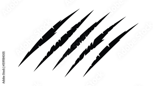 Animal Claw Scratches