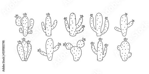 Cactus Outline
