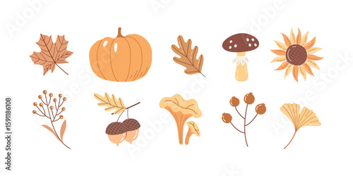 Cute Hand Drawn Autumn Clipart Set Pumpkin, Mushrooms, Leaves, Acorn and Fall Botanical Elements