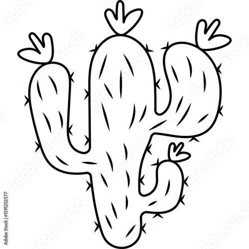 Cactus Outline