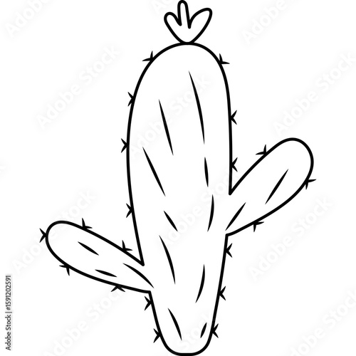 Cactus Outline