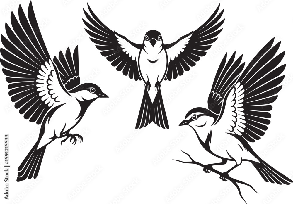 Obraz premium Three Stylized Birds in Motion and Rest – Black and White Illustration