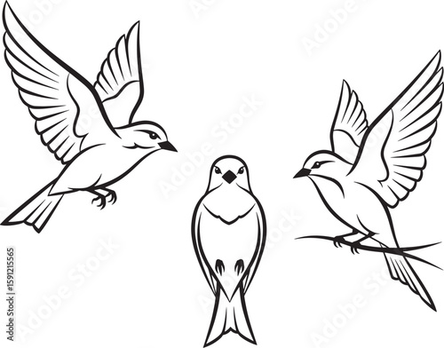Three Stylized Birds in Motion and Rest – Black and White Illustration