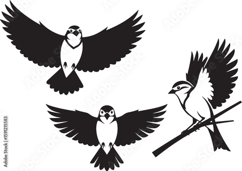 Three Stylized Birds in Motion and Rest – Black and White Illustration