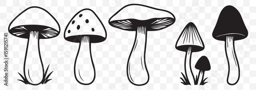 Silhouette Art of Simple Mushrooms Black Fungi Minimal Design Set. Silhouette Vector of Wild Mushrooms with Spotted Caps Black Fungi Collection on Transparent Background. EPS 10.
