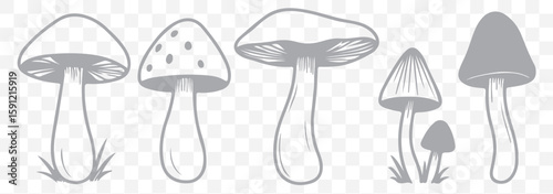 Mushroom silhouette icons - Set of twelve various mushroom designs for nature and botanical illustrations in Gray Color on Transparent Background. EPS 10.