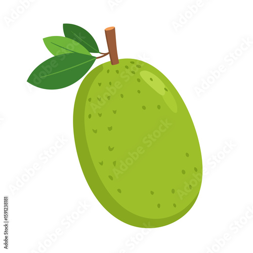 Cartoon illustration of a whole green jackfruit with a bumpy rind, brown stem, and leaves.