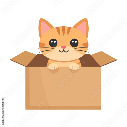 Adorable ginger tabby kitten with big black eyes peeking from a brown cardboard box.