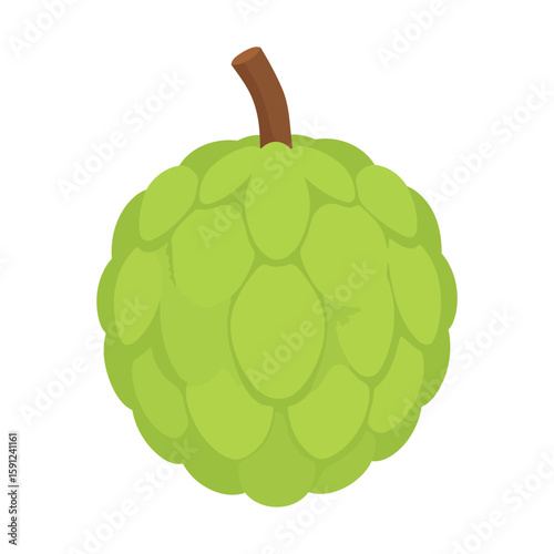 A vibrant green custard apple illustration with a bumpy, segmented rind and a short brown stem.