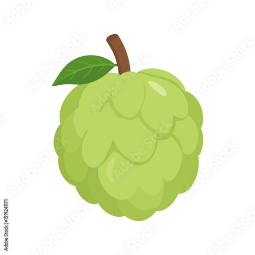 Stylized light green custard apple with bumpy, segmented skin and a single leaf.