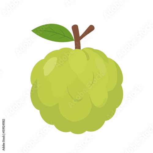 Stylized green custard apple illustration with a bumpy, segmented peel, brown stem, and a single leaf.