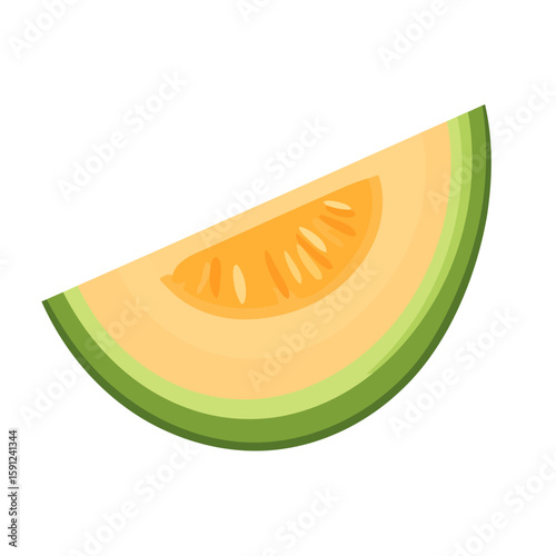 Juicy cantaloupe melon slice with vibrant orange flesh and a layered green rind. A fresh, sweet fruit wedge illustration.