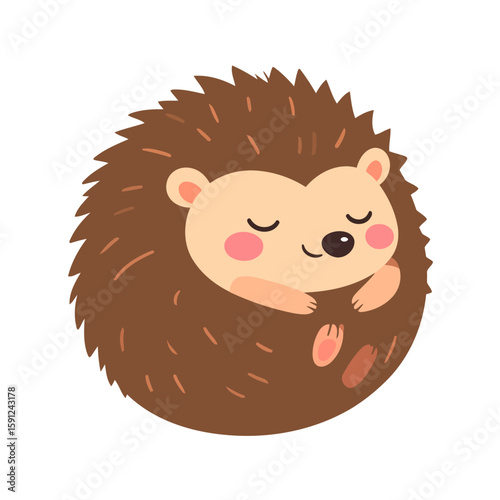 Cute sleeping hedgehog character curled up in a ball. Adorable woodland animal illustration with rosy cheeks and spiky quills.