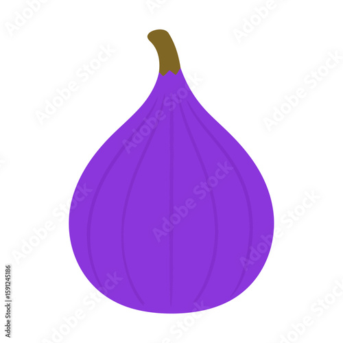 A vibrant purple fig illustration with a teardrop shape and a curved brown stem.