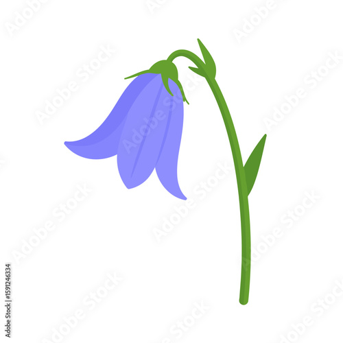 Delicate purple bellflower illustration with a gracefully drooping head. A single Campanula flower on a green stem in a flat, minimalist style.