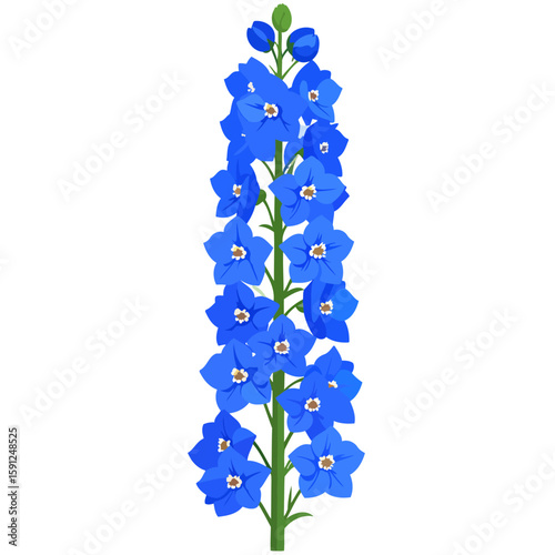 A tall stalk of blooming blue Delphinium flowers with a green stem and buds.