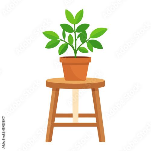 Lush green houseplant in a terracotta clay pot resting on a small, round wooden stool.