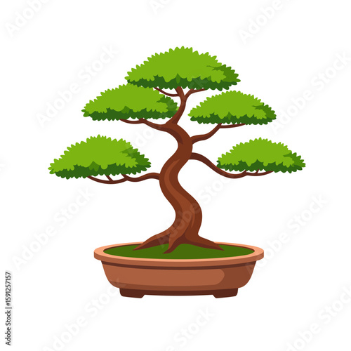 Stylized illustration of a Japanese bonsai tree with a curved trunk and green foliage in a pot.