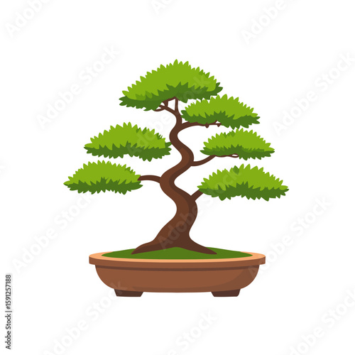 Stylized green bonsai tree illustration with a curved trunk and spiky foliage in a brown pot.