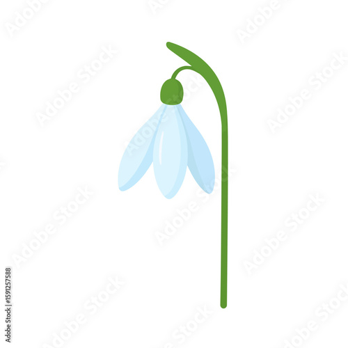 A delicate snowdrop flower illustration with a drooping, bell-shaped blossom and a curved green stem.