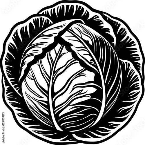 cabbage  (linocut style)