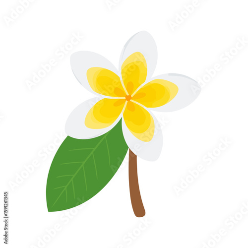 Stylized tropical plumeria flower with white and yellow petals, a green leaf, and a brown stem.